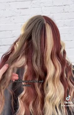 Red Blond And Brown Hair, Colourful Hair Ideas Brunettes, Calico Hair Color Placement, Blonde Red Brown Hair, Red Calico Hair, Brown Red And Blonde Hair, Simple Hair Dye Ideas, Fun Natural Hair Color Ideas, Creamsicle Hair