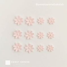 pink flowers are arranged in rows on a white surface with the words sweet serene written below them