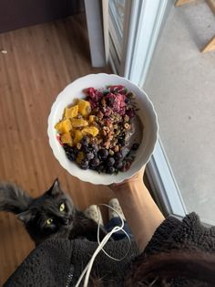 a person holding up a bowl of cereal with fruit on it and a black cat sitting next to them