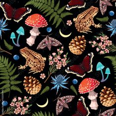 a black background with lots of different types of animals and plants on it's surface