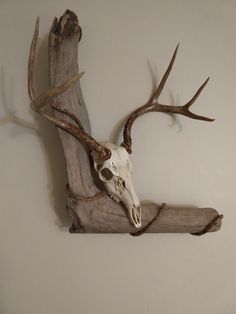 a deer's head mounted on the side of a wall with antlers attached to it