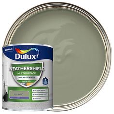 dulux weathershield matt embossing paint in green