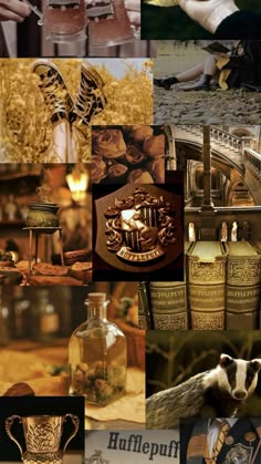 the collage shows many different things that are being displayed in this photo, including bottles and