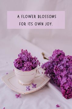 purple flowers in a white cup and saucer with the words, a flower blossoms for its own joy