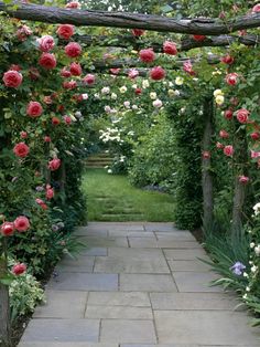 a garden with roses growing on the side of it and stone walkway leading to an open area