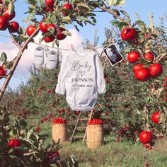 two baby onesuits hanging from an apple tree with apples in the foreground