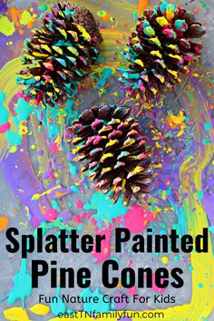 two pine cones with splatter painted on them and the words, fun nature crafts for kids