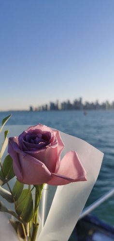 a pink rose sitting on top of a piece of paper next to the ocean in front of a city