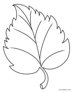 a drawing of a leaf on a white background