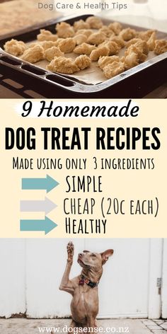 a dog standing on its hind legs in front of a pan filled with food and the words 9 homemade dog treat recipes made using only 3 ingredients