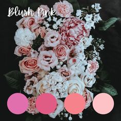 a bunch of flowers with some pink and white colors