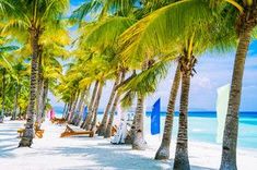 the beach is lined with palm trees and chairs