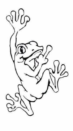 a frog jumping up into the air with its legs spread out and eyes wide open