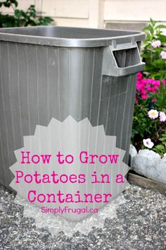 a trash can with the words how to grow potatoes in a container