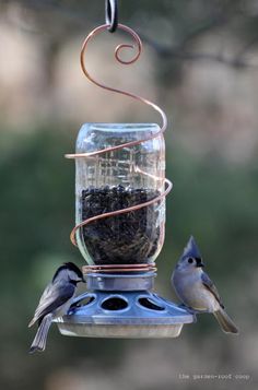 two birds are perched on a bird feeder with seed in it's beaks