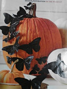 a book with butterflies on it next to a pumpkin