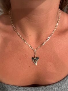 16 inch shark tooth necklace (teeth handpicked in Florida) with 14k gold filled clasp and jump rings. Shark Tooth Jewelry, Shark Teeth Jewelry, Shark Earrings, Beach Haven, Shark Tooth Necklace, Tooth Necklace, Shark Tooth, Saltwater Pool, Shark Teeth