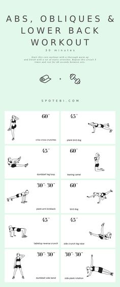 an exercise poster with instructions to do the absorptions and lower back workout