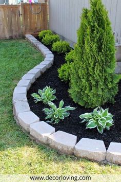 a small garden with some plants in it