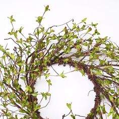 a twig wreath with green leaves on a white background