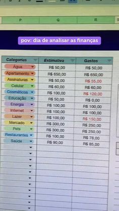 a computer screen showing the financial statement displayed on it's desktop monitor, with spanish and english writing