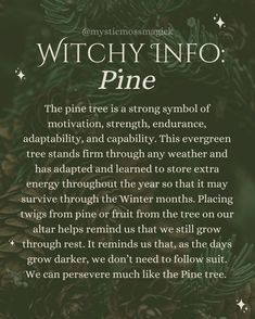 The pine tree is a strong symbol of motivation, strength, endurance, adaptability, and capability. This evergreen tree stands firm through any weather and has adapted and learned to store extra energy throughout the year so that it may survive through the Winter months. Placing twigs from pine or fruit from the tree on our altar helps remind us that we still grow through rest. It reminds us that, as the days grow darker, we don’t need to follow suit. We can persevere much like the Pine tree. ... Wicca Seasons, Witchy Winter, Plant Magick, Winter Solstice Celebration, Witch Things, Solstice Celebration, Strong Symbol, Green Witchcraft, Spiritual Realm