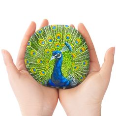 a hand holding a small painted rock with a blue and green peacock on it's face