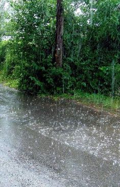 the road is flooded with water and rain as it passes through some trees on a rainy day