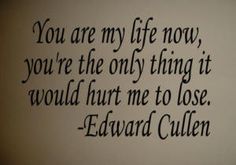 Edward Cullen Quotes, Stay Quotes, American Horror Stories, Twilight Edward