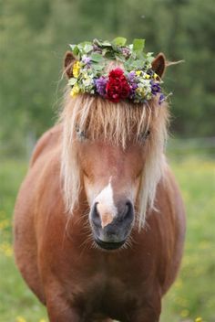 a horse wearing a flower crown on its head