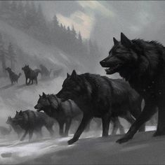 a group of wolfs walking across a snow covered field