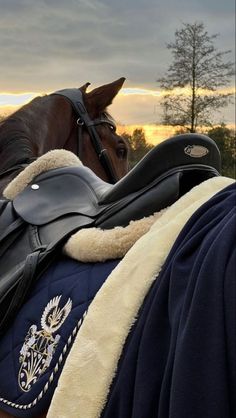 a horse wearing a blanket with its head resting on it's bridle