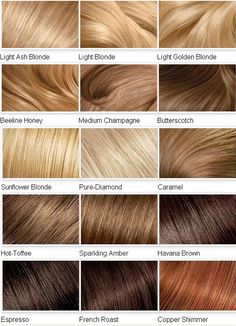 Blonde Color Chart, Blonde Hair Color Chart, Which Hair Colour, Brunette Ombre, Honey Hair Color, Hair Blond, Brunette Balayage, Dyed Blonde Hair, Hair Color Chart