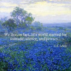 Cs Lewis Quotes, Literature Quotes, Literary Quotes, Wise Quotes, Poetry Quotes