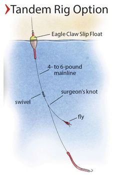 the diagram shows how to use an eagle claw slip floatr for swimming and catching fish