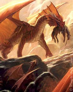 a painting of a dragon attacking another dragon