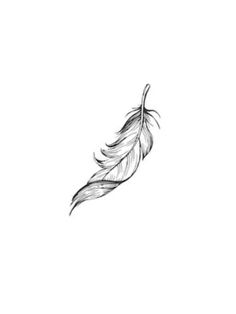 a black and white drawing of a feather