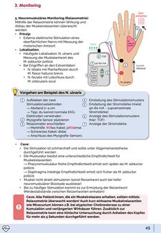 Praxisorientiertes Anästhesie-Skript für Berufseinstieg, PJ, Famulatur, ATA-Ausbildung 💪🏼 Optimal zum Lernen der Anästhesie-Grundlagen. Das Skript enthält Dosisangaben, Notfall-Schemata und klaren Handlungsempfehlungen. Das Skript führt dich Schritt für Schritt durch die Stromschnellen der Anästhesiologie - von der präoperativen Vorbereitung über die Narkoseverfahren bis hin zur postoperativen Nachsorge.Tipp: Das Skript beinhaltet auch einen einzigartigen Medikamenten-Spickzettel. Darauf ... Medical School Inspiration, Nursing Notes, School Inspiration, Medical School, Medical