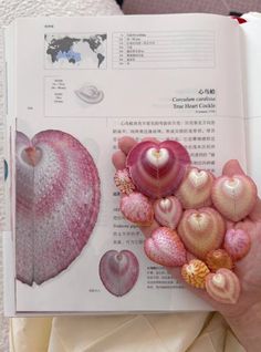 a person holding an open book with sea shells on it's cover and in the background is a world map