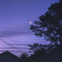 the sky is purple and blue as the sun sets in the distance behind some trees