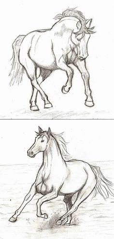 two drawings of horses running in the sand, one with its tail up and another with its head down