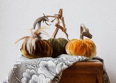 three pumpkins sitting on top of a wooden table next to a cloth covered chair