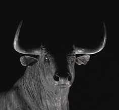 an animal with large horns standing in the dark