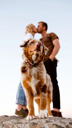 a man and woman kissing while standing on top of a rock with a dog in the foreground