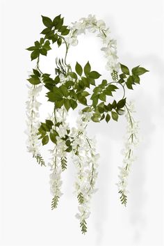 white flowers and green leaves are hanging from a branch on a wall in front of a white background