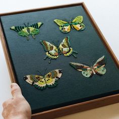 a person is holding a frame with some butterflies on it