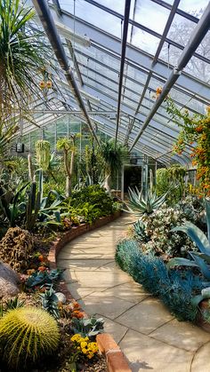 the inside of a large greenhouse with many plants and flowers in it's walkway