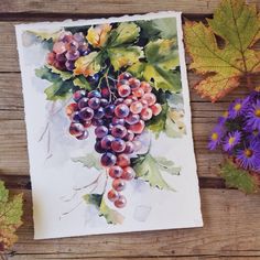 a watercolor painting of grapes and leaves on a wooden table next to purple flowers