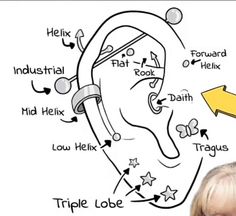 a child's head with the words triple lobe written in front of it