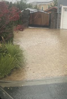 a driveway with a gate and bushes in the rain